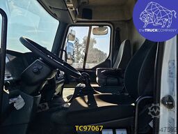 Renault Premium 300