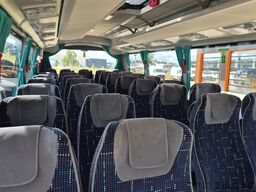 TEMSA Temsa  Prestij SX,Novo Lux, Daily, Atego