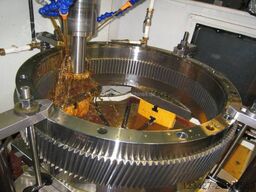 Lorenz LS Alternative WS 1250