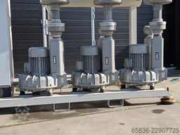 Bora SAP 450