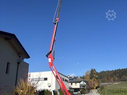 Platform Basket Spider 15.75 PRO