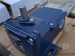 Schmersal TD 250-10/10Z-T