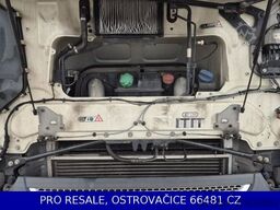 DAF XF 480 FT MEGA LD SSC EURO 6 + PARKCLIMA