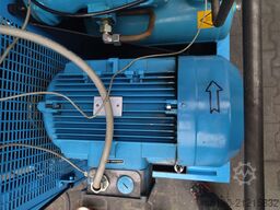 BOGE S20