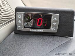 IVECO Daily C 65 Lagerfahrzeug Stock 519 Sofort
