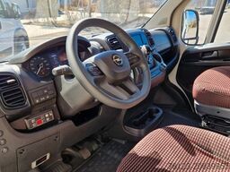 2 x Opel Movano, 3 x Fiat Ducato 18 Sitzer Jumpe