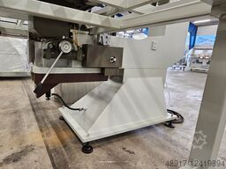 Schiatti Angelo FDP 60