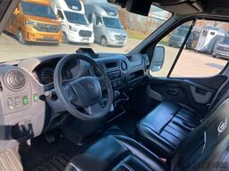 RENAULT Master STX Haras 3 Sitzer