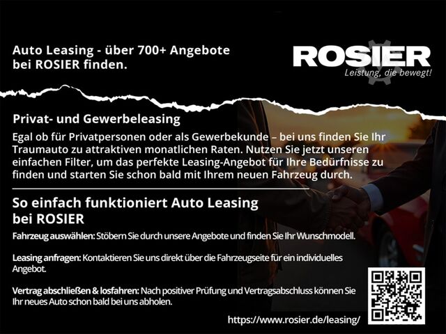 Kastenwagen Mercedes-Benz Vito 116 CDI Kasten Extralang Holz Kamera DAB