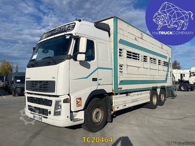 Transporte de ganado Volvo FH 480