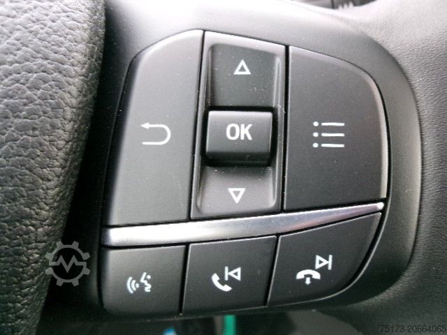 Minibuss FORD Transit 350 L3H2 Trend Kombi Rampe KMP PDC GRA