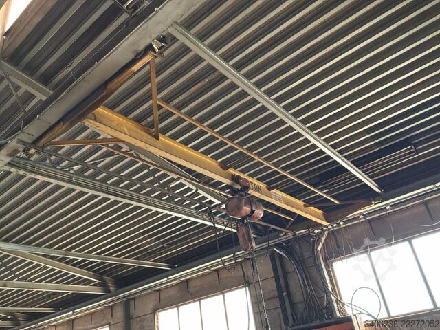 Grue de plafond  