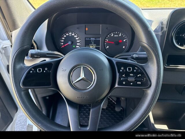 Bestelwagen met verhoogd dak MERCEDES-BENZ Sprinter 319 4x4/SCHWINGSITZ/KAMERA/AHK3,50TO