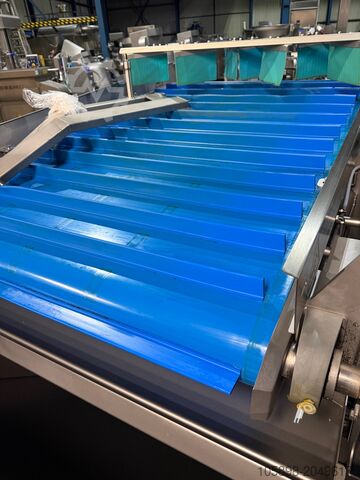 Optical sorter for vegetables Tomra Odenberg Halo III 2021