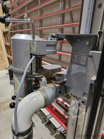 Pionowa pilarka panelowa Striebig Standard 6224 TRK 2