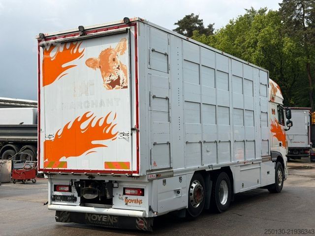 Viehtransporter LKW DAF XF460FT 6x2 BL EU6 3.Stock I.R.M.A/Ladelift/ACC