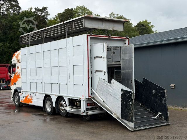 Viehtransporter LKW DAF XF460FT 6x2 BL EU6 3.Stock I.R.M.A/Ladelift/ACC