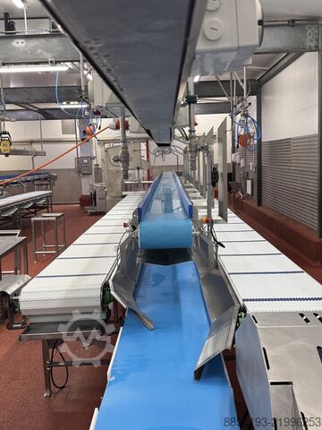 Kemik ayıklama konveyörü ENE CONVEYORS PACE MEAT BONING LINE