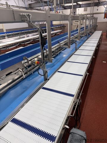 Kemik ayıklama konveyörü ENE CONVEYORS PACE MEAT BONING LINE