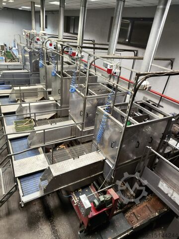 Volledige lijn uienschillen van M&P Engineering Onion processing line-full peeling line