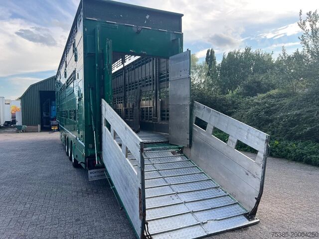 Veetransport Pezzaioli Livestock 1/2/3 stock Gross Vieh Type 2