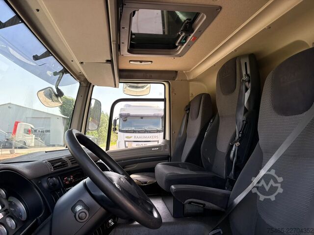 Gekoeld/bevroren transport DAF CF 65 .300 FA Euro5