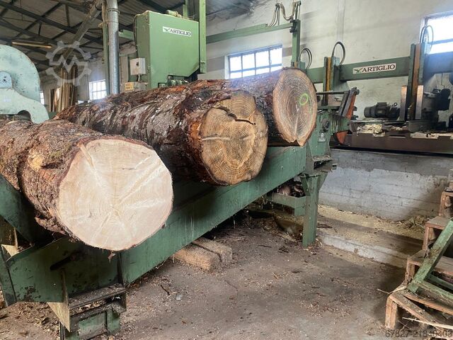 Komplettes Sägewerk (stationär) Artiglio 1100 / EO 700