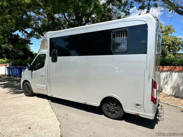 Βαν Renault Master 1-2 Pferde Hengsttrennung