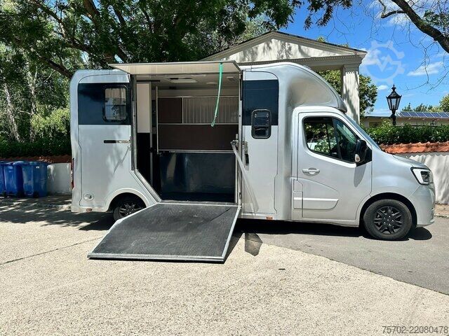 Βαν Renault Master 1-2 Pferde Hengsttrennung
