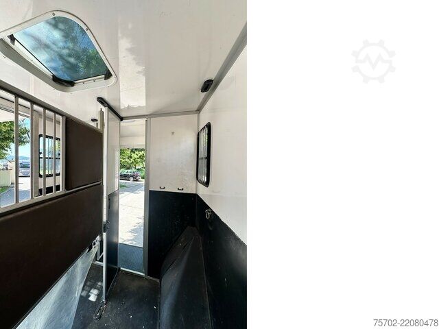 Βαν Renault Master 1-2 Pferde Hengsttrennung