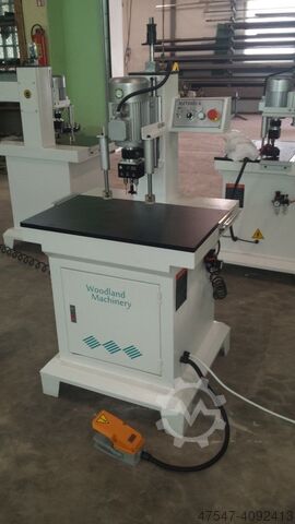 20-90-541 multi spindel boor Mach WOODLAND MACHINERY