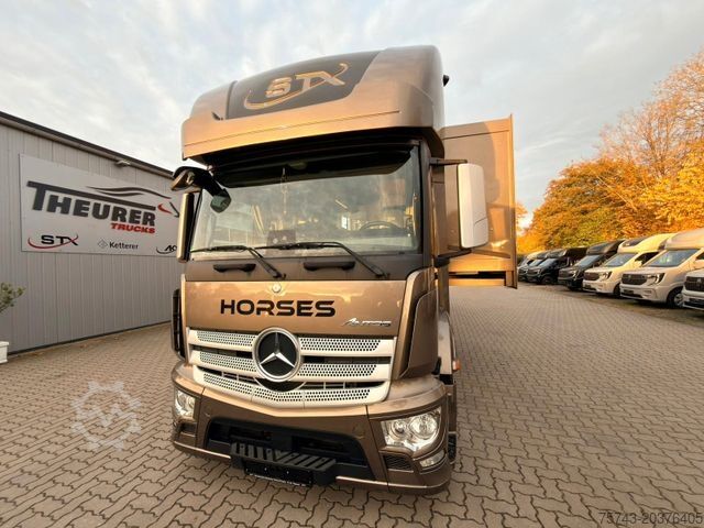 Viehtransporter LKW MERCEDES-BENZ ANTOS 1830 STX . POP-OUT 5 Pferde