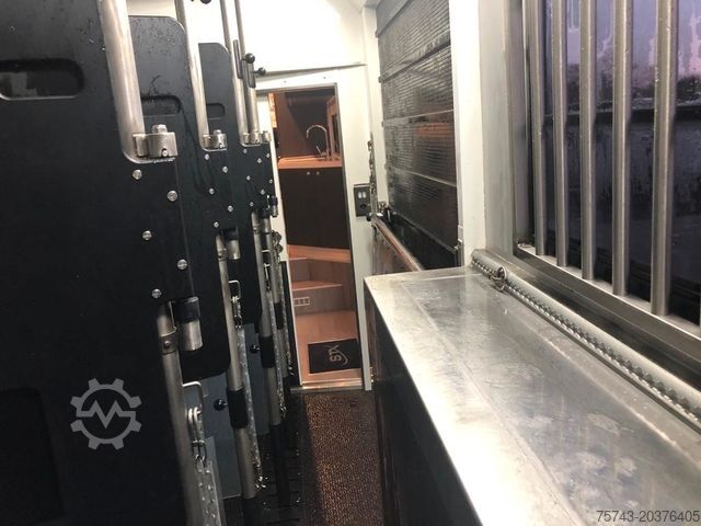 Viehtransporter LKW MERCEDES-BENZ ANTOS 1830 STX . POP-OUT 5 Pferde