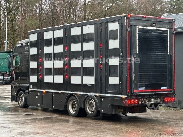 Veewagen MAN TGX 26.500 4. Stock Menke-Janzen Viehtransporter