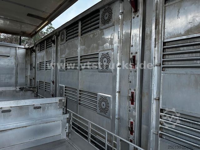 Veewagen MAN TGX 26.500 4. Stock Menke-Janzen Viehtransporter