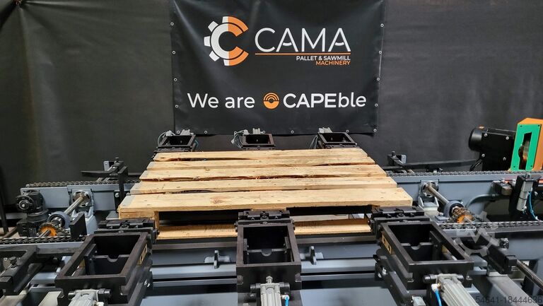 Palettenproduktionsmaschine STORTI - CAPE STORTI CONVEYOR