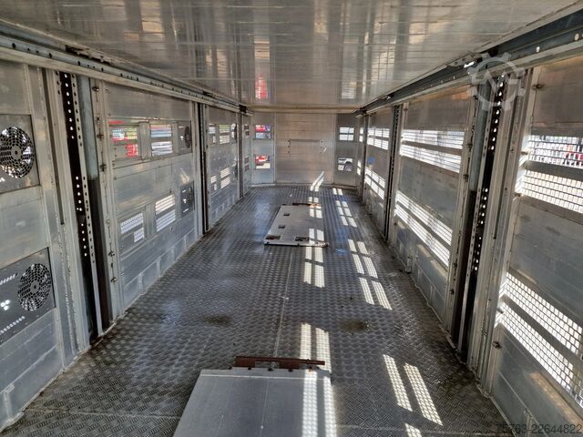 Transporte de ganado Pezzaioli + Daf XF - 3/4 deck livestock - 134.8m2 - Water...