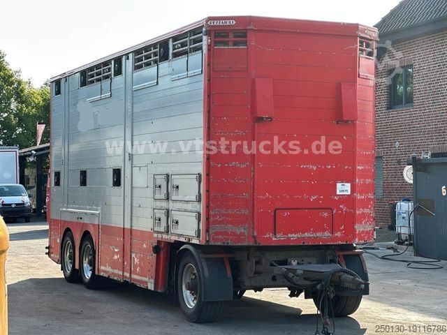 Pferdeanhänger PEZZIOLI 2.Stock Lüfter Tränke Cattle Cruiser