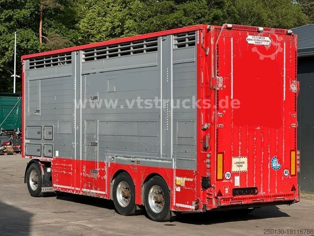 Pferdeanhänger PEZZIOLI 2.Stock Lüfter Tränke Cattle Cruiser