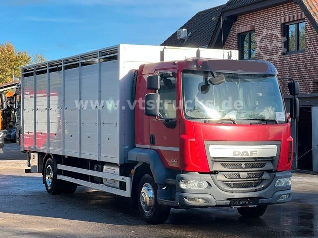 Sığır taşıma kamyonu DAF LF 280 4x2 Köstner 1.Stock Aufbau