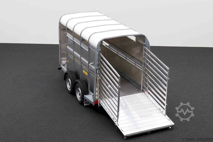 Veewagen Ifor Williams TA5 | 10x6 311X156X183CM VIEHANHÄNGER | 2X LÜFTUNG