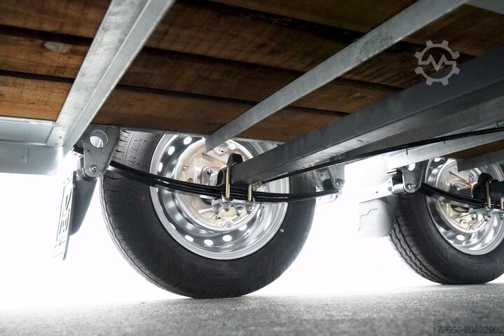 Veewagen Ifor Williams TA5 HD | 12x6 | RAMPE-/TÜR-KOMBI 372X156X183CM VIEHANHÄNGER | 2X LÜFTUNG
