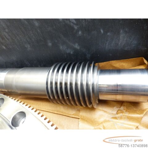 Componente  Gleason-Pfauter 0/360.10.133.01 Schneckenrad u. Schneckenwelle - ! -