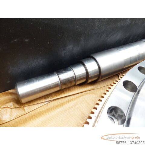 Componente  Gleason-Pfauter 0/360.10.133.01 Schneckenrad u. Schneckenwelle - ! -