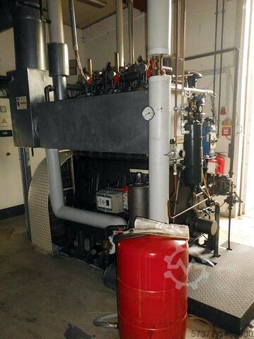 Warmtekrachtkoppelingcentrale HERFORD/ MARELLI 
