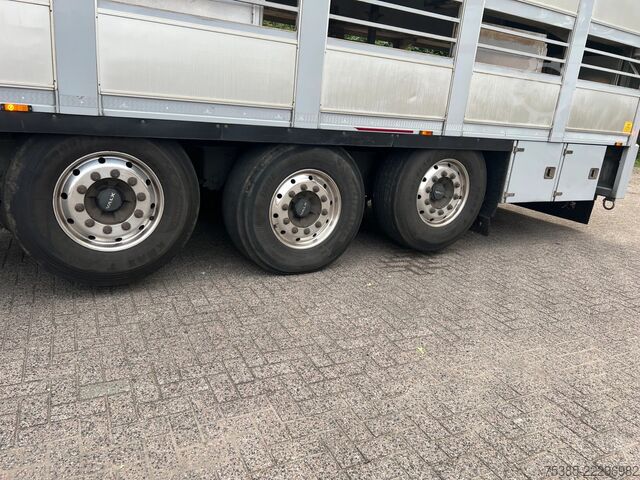 Transporte de gado Berdex Livestock Ultra light 2 lift axle