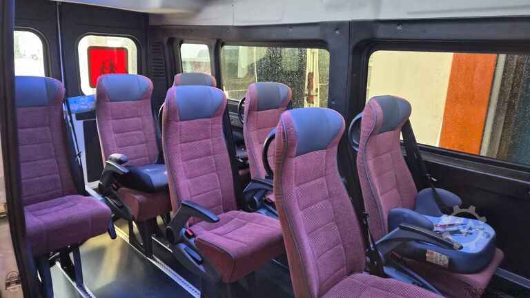 Kleinbus FIAT Ducato 9 Sitzer Mobility Airlineboden Rolli