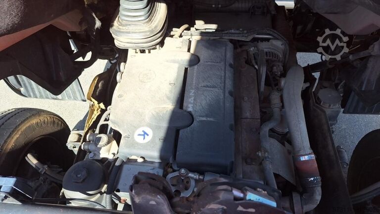 Kamyona monte platform Palfinger WT 300