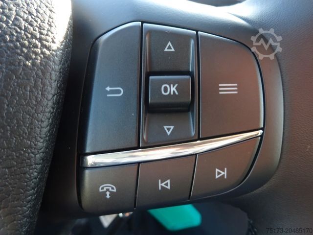 Fourgon surélevé FORD Transit 350L3H3 Trend AT HA Stndhz 2xS.Tür AHK