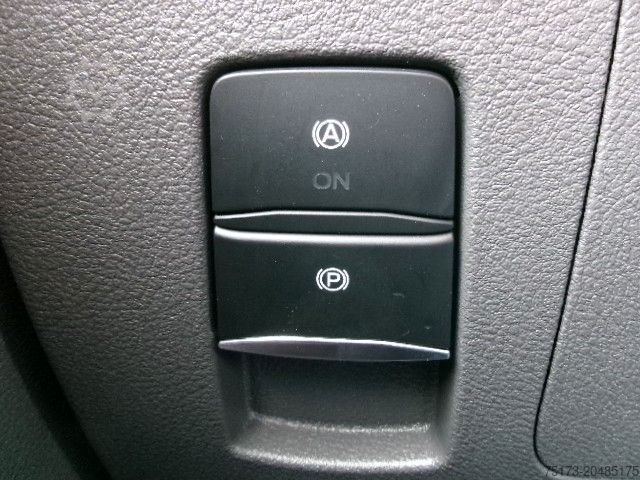 Fourgon pick-up FORD Transit 350L5 Trend DoKa Pritsche Stndhz AHK Kam